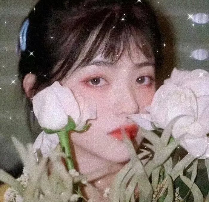 森林之境